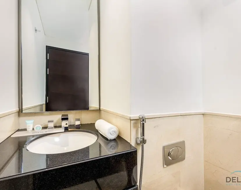 Ornate 1-Bedroom at The Address Residences — Dubai Marina — photo 14